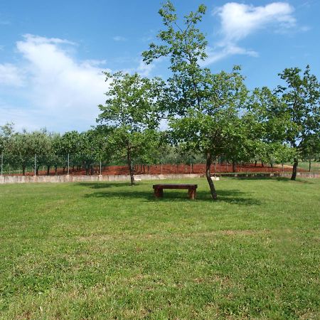 Holiday Home Rosa Gedici Luaran gambar